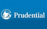 Corporate Placed Organization Logo